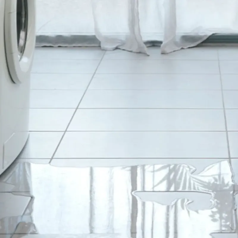 Appliance Leak Cleanup in Winkler County, TX