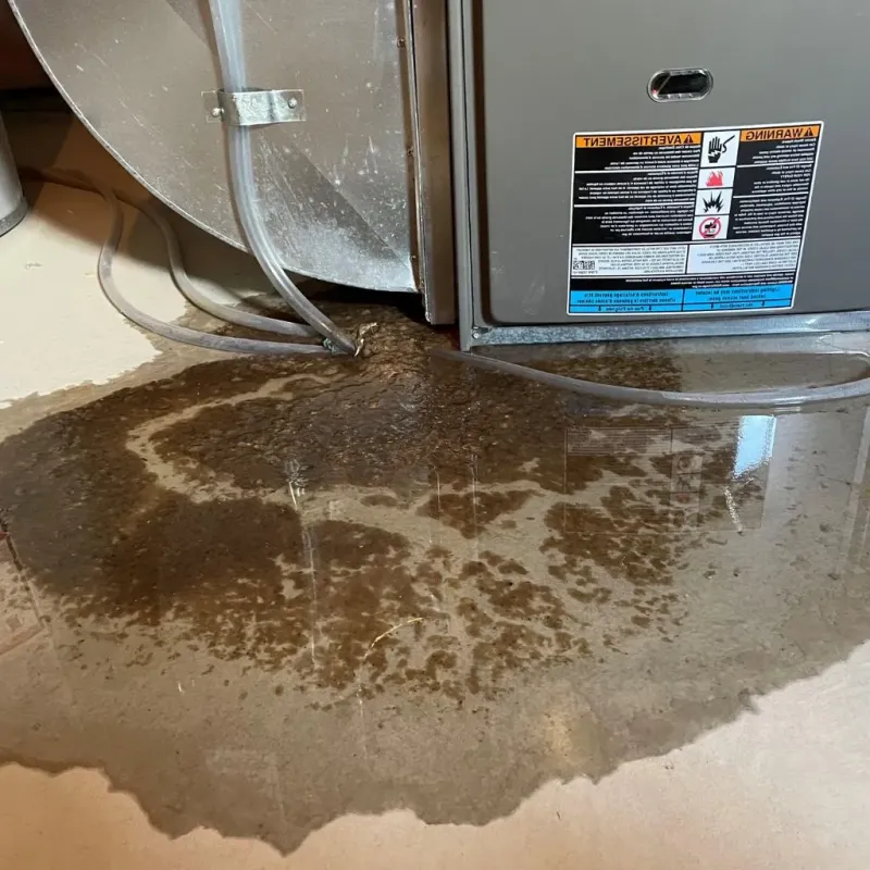 Pipe Burst and Leak Restoration in Winkler County, TX