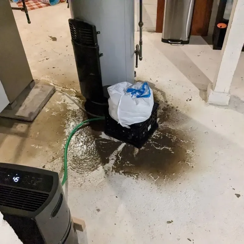 Sewage Backup Cleanup Service in Winkler County, TX